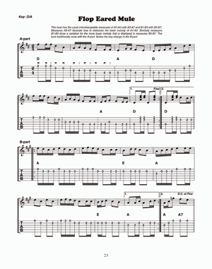 Old Time Stringband Workshop for Guitar - Gif file