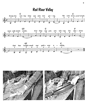 Fun with the Dulcimer - Gif file