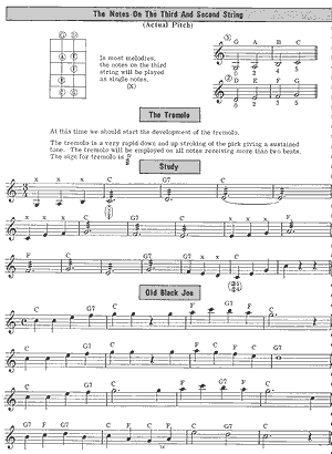 Tenor Banjo Melody Chord Playing System - Gif file