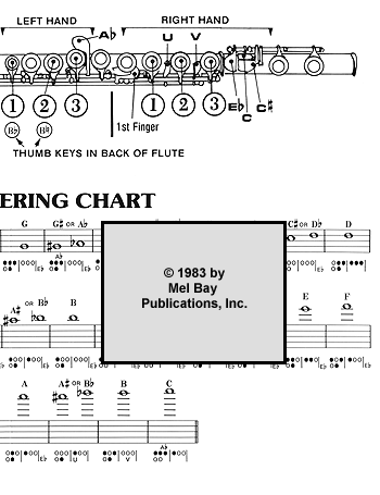 Flute Scale Chart