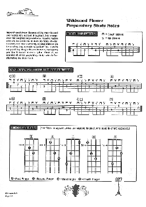 Mandolin Crosspicking Technique - Gif file