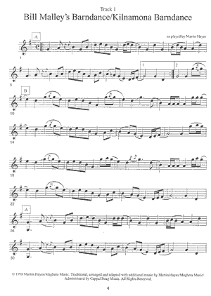 Martin Hayes - Under the Moon - Gif file