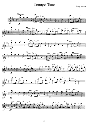 Solo Pieces for the Intermediate Violinist Violin Classical Sheet Music Book 