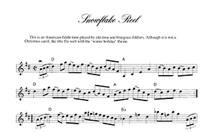 Flogging Reel Sheet Music