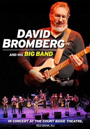 David Bromberg and His Big Band