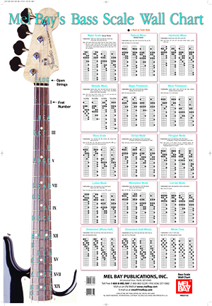 Mel Bay S Violin Wall Chart Pdf