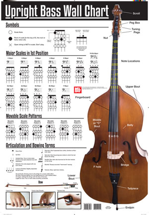 Upright Bass Wall Chart Wall Chart - Mel Bay Publications, Inc. : Mel Bay